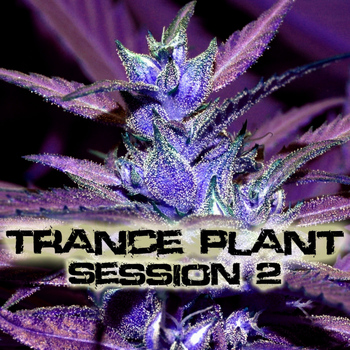 Various Artists - Trance-Plant Session 2