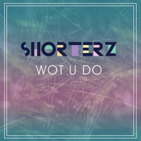 Tom Shorterz - Wot U Do