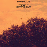 Amarillo - Delusions of Grandeur