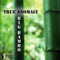 True Anomaly - Big Bambo