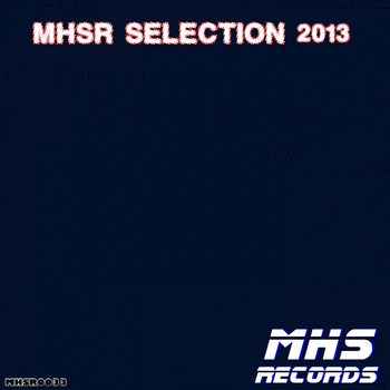 Various Artists - MHSRecords Selection 2013