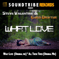 Steve Valentine - What Love EP