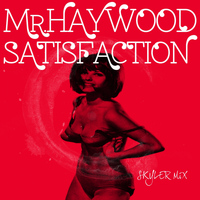 Mr Haywood - Satisfaction (Skyler Mix)