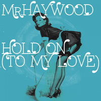 Mr Haywood - Hold On (To My Love)