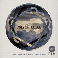 Calyx and TeeBee - Elevate This Sound / Hurting