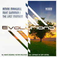 Amine Maxwell - Next Summer / The Last Moment