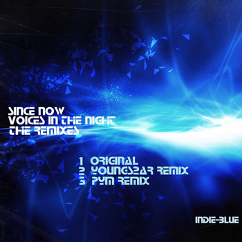 Since Now - Voices In The Night (The Remixes)