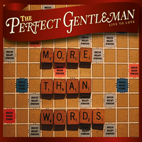 The Perfect Gentleman - More Than Words
