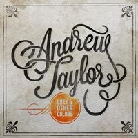 Andrew Taylor - Grey & Other Colors