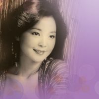 鄧麗君 - 君之千言萬語 - 演唱會2