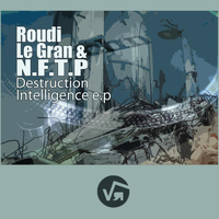 Roudi Le Gran - Destruction Intelligence EP