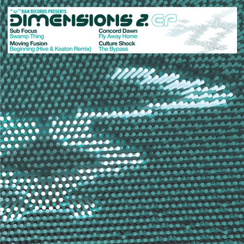 Various Artists - Dimensions 2 EP