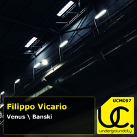 Filippo Vicario - Venus \ Banski