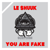 le Shuuk - You Are Fake