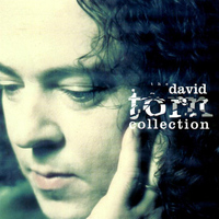 David Torn - The David Torn Collection