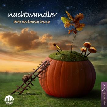 Various Artists - Nachtwandler, Vol. 4 - Deep Electronic House