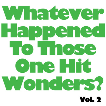 Various Artists - I Wonder What Happened To Those One Hit Wonders, Vol. 2
