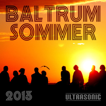 Various Artists - Baltrum Sommer 2013