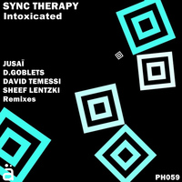 Sync Therapy - Intoxicated