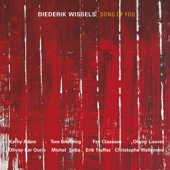 Diederik Wissels - Song of You