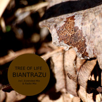 Biantrazu - Tree of Life