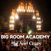 Big Room Academy - Big and Crazy