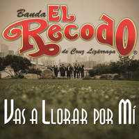 Banda El Recodo De Cruz Lizárraga - Vas A Llorar Por Mí