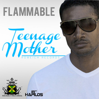 Flammable - Teenage Mother - Single
