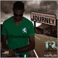 Flammable - Journey - Single