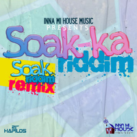 Various Artists - Soak-ka Riddim