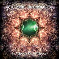 Cosmic Dimension - In A Special Kind Of Space