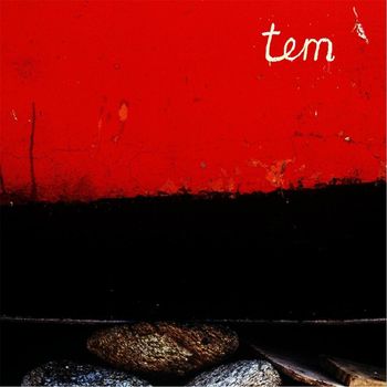 David Willetts - Tem