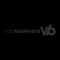 Vida Boulevard - Un Día Más - Single