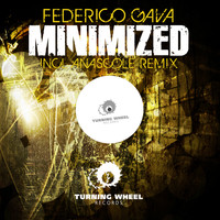 Federico Gava - Minimized
