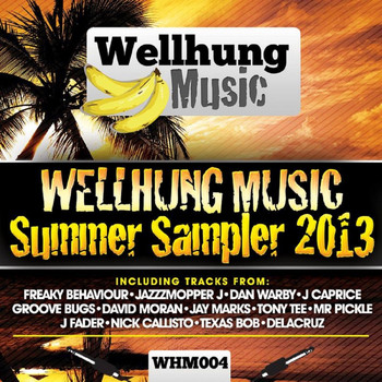Various Artists - WellHung Music Summer Sampler