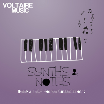 Various Artists - Synths and Notes, Vol. 6