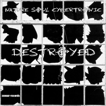 Nature Soul Cybertronic - Destroyed
