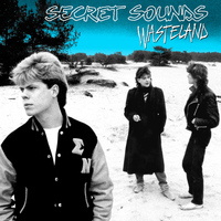 Secret Sounds - Wasteland