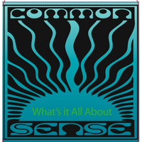 Common Sense - What's It All About