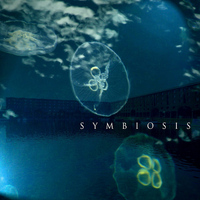 Richard Harding - Symbiosis
