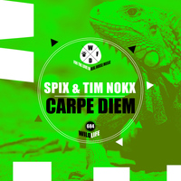 Spix & Tim Nokx - Carpe Diem