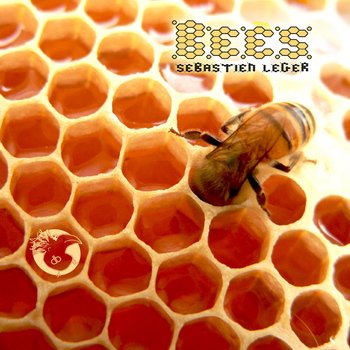 Sébastien Léger - Bees