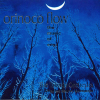 Taliesin Orchestra - Orinoco Flow - The Music of Enya
