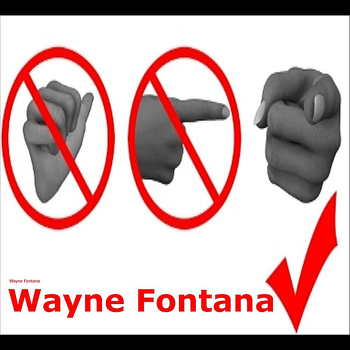 Wayne Fontana - Something Inside So Strong