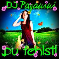 DJ Paganini - Du fehlst