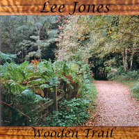 Lee Jones - Wooden Trail