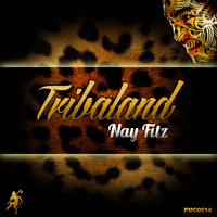 Nay Fitz - Tribaland
