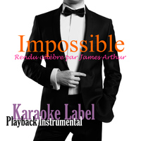 Karaoke Label - Impossible (Rendu célèbre par James Arthur) [Version Karaoké] - Single