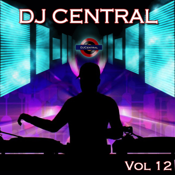 Various Artists - DJ Central, Vol. 12