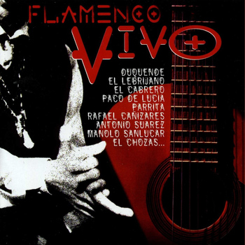 Various Artists - Flamenco Vivo